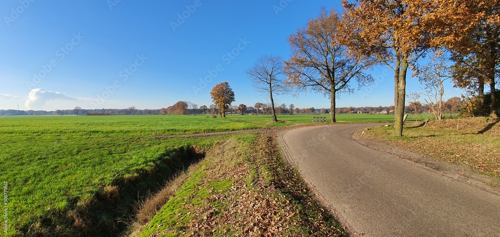 Naklejka premium road in the countryside