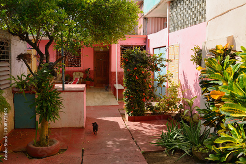 Pink outdoor courtyard in downtown Varadero Cuba with plants and dogs