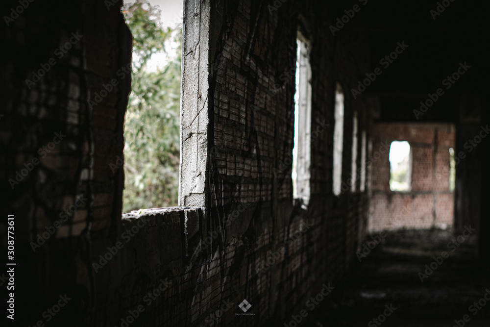 Fototapeta premium old building 