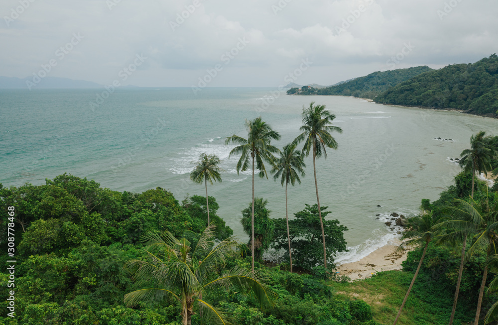 Palm Trees and Rocky Beach, Drone shot in Thailand