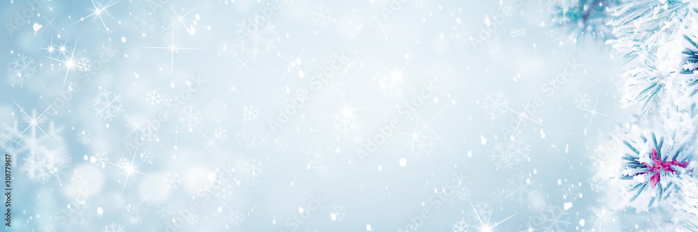 Winter background, falling snow on pine tree branches copy space Winter background, falling snow on pine tree branches copy space