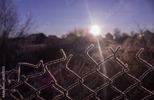 Torn fence of metal mesh covered with frost. The sun shines early in the morning on the frozen grid. The concept of freedom behind a frozen metal mesh that has been ripped. Cold winter morning.