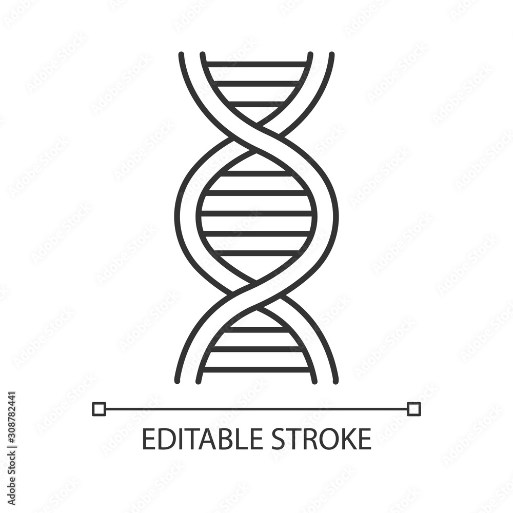DNA helix linear icon. Deoxyribonucleic, nucleic acid structure