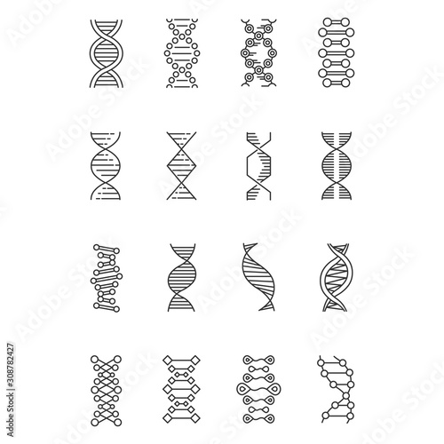 DNA helix linear icons set. Deoxyribonucleic, nucleic acid structure. Chromosome. Molecular biology. Genetic code. Thin line contour symbols. Isolated vector outline illustrations. Editable stroke