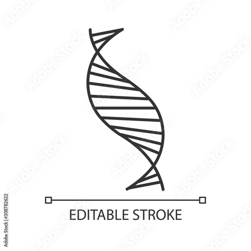 DNA spiral strand linear icon. Deoxyribonucleic, nucleic acid helix stripes. Molecular biology. Genetic code. Thin line illustration. Contour symbol. Vector isolated outline drawing. Editable stroke