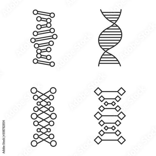 DNA chains linear icons set. Deoxyribonucleic, nucleic acid helix. Molecular biology. Genetic code. Genetics. Thin line contour symbols. Isolated vector outline illustrations. Editable stroke