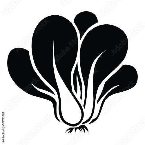 Vector illustration of Leaf cabbage pak choy, bok choy silhouette icon