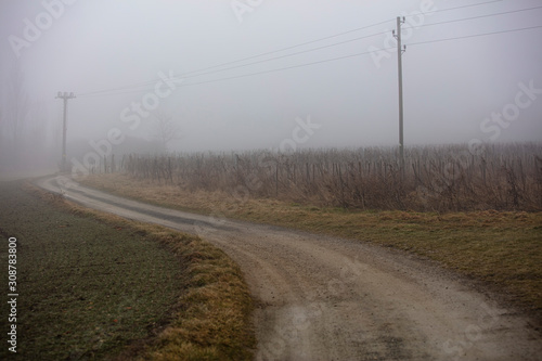 road in foggy landscape  © babaroga
