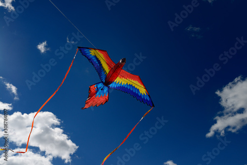 Red Macaw Parrot Kite flying high against a blue sky in Toronto
