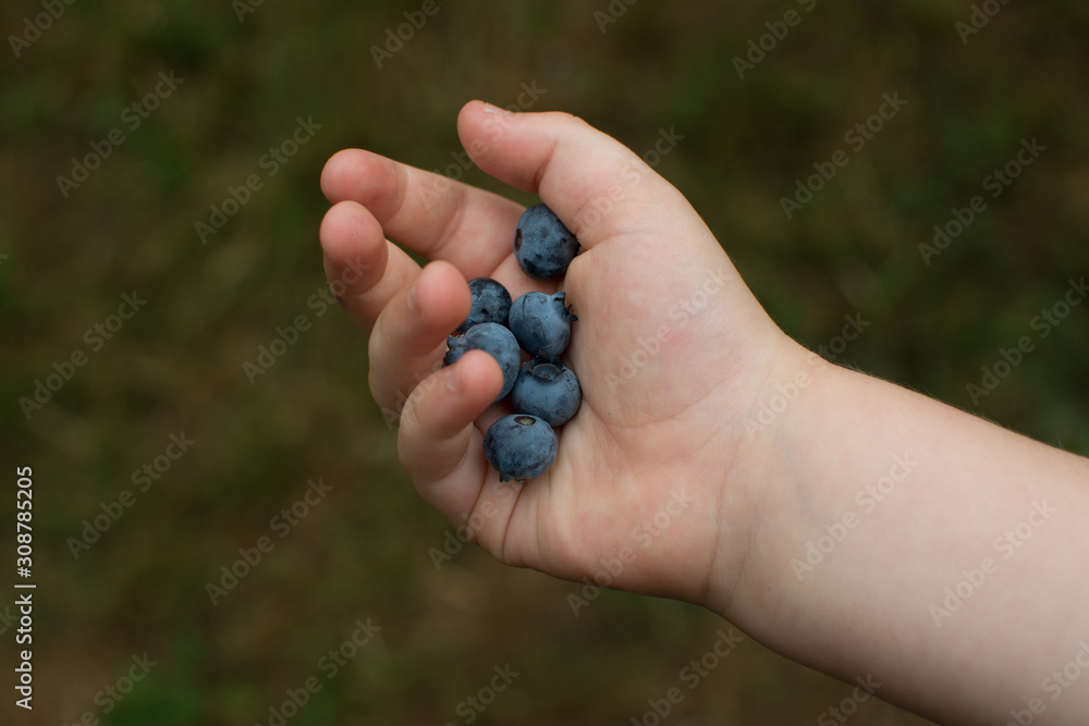 handful of berries handful of berries