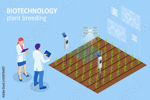 Isometric concept of laboratory exploring new methods of plant breeding and agricultural genetics. Vegetable hydroponic system, agriculture in the greenhouse organic for health food
