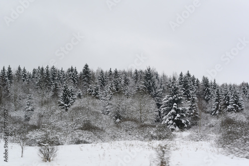 Wallpaper Mural winter landscape with trees and snow Torontodigital.ca