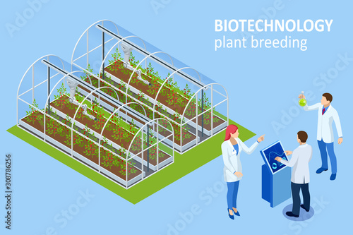 Isometric concept of laboratory exploring new methods of plant breeding and agricultural genetics. Vegetable hydroponic system, agriculture in the greenhouse organic for health food