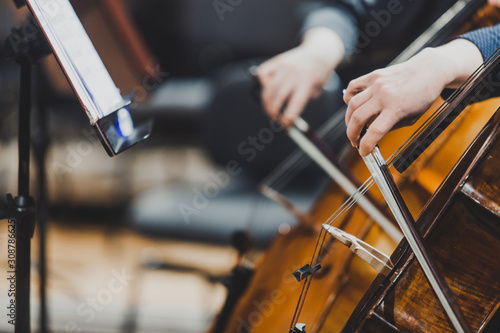 Side views of classical instruments - violin, double basses, cellos, closeup of hands