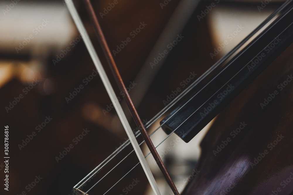 Side views of classical instruments - violin, double basses, cellos, closeup of hands Side views of classical instruments - violin, double basses, cellos, closeup of hands