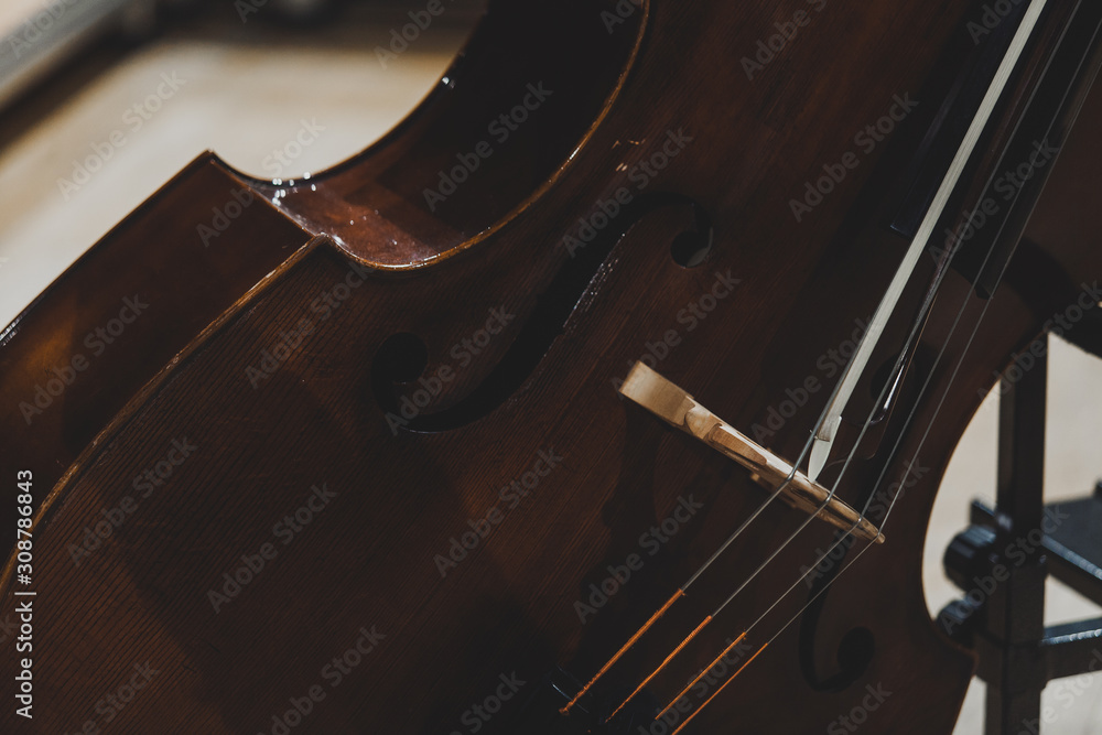 Side views of classical instruments - violin, double basses, cellos, closeup of hands Side views of classical instruments - violin, double basses, cellos, closeup of hands