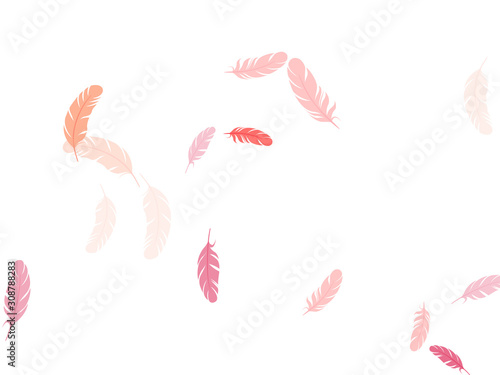 Detailed majestic feather on white design.
