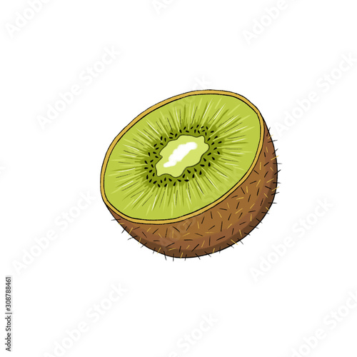 half kiwi  isolated on white background, illustration