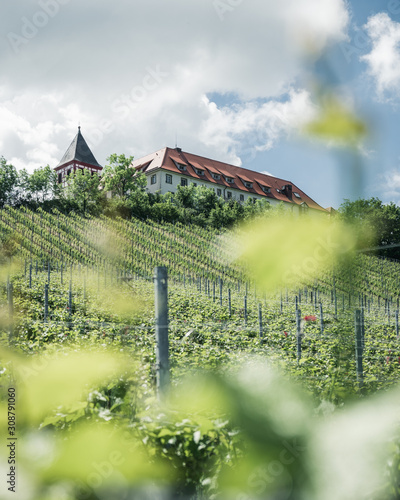 der Michaelsberg im schönen Naturpark Stromberg Heuchelberg nahe Tripsdrill