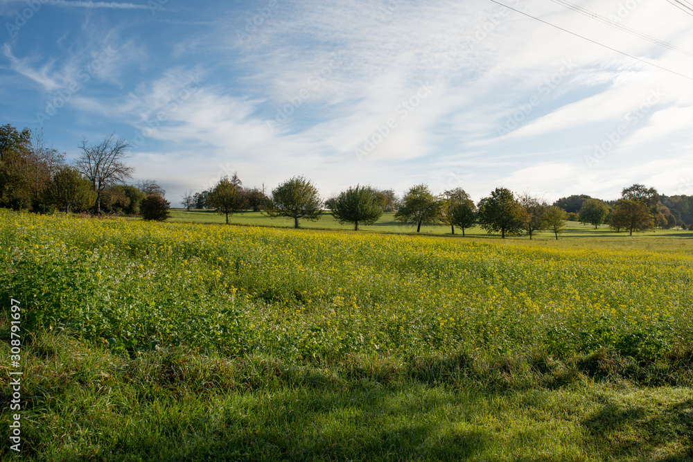 Fototapeta premium Landschaft