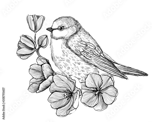 Art graphic illustration of a bird sitting on a branch with flowers, tattoo sketch,
