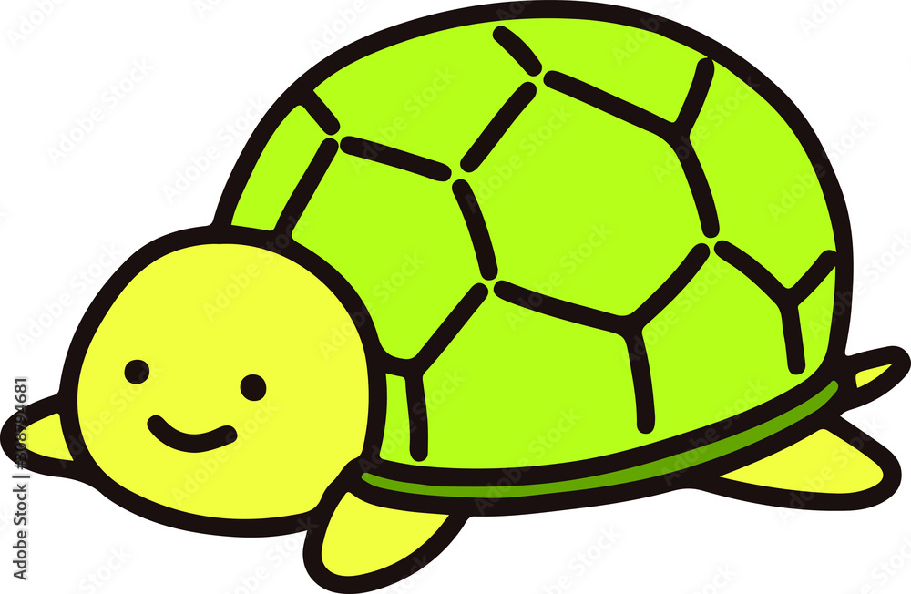 Obraz premium Outlined bright green turtle