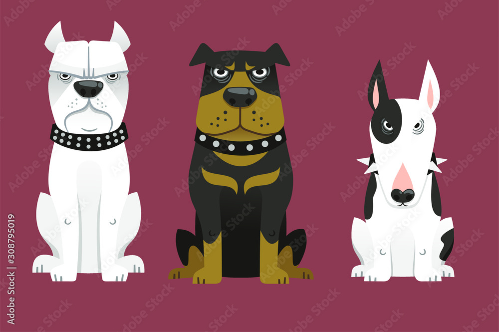 Obraz premium guard dogs