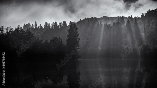 morning sun is braking thru the mist
