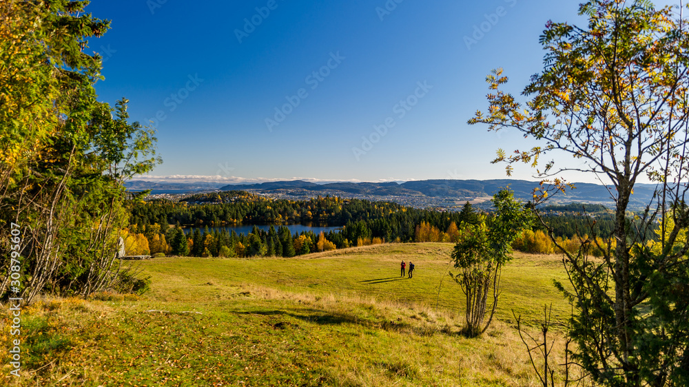 Fototapeta premium go for a walk in nature
