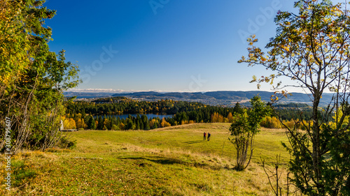 go for a walk in nature