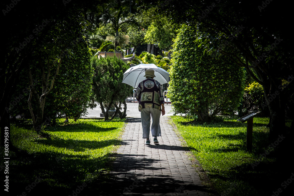 Frau mit Sonnenschirm geht im Park spazieren Frau mit Sonnenschirm geht im Park spazieren