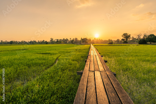 bridge over rice market with sunset