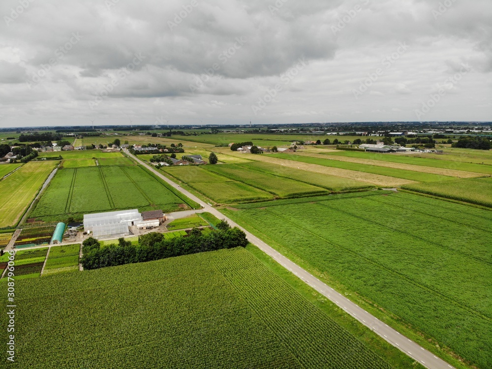 Obraz premium Dutch green fields at country side