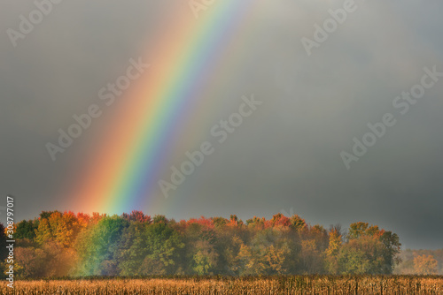 Autumn landscape of brilliant rainbow over trees and corn field, Michigan, USA