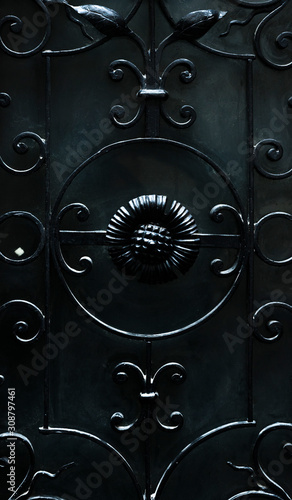 stylish forged door elements close-up