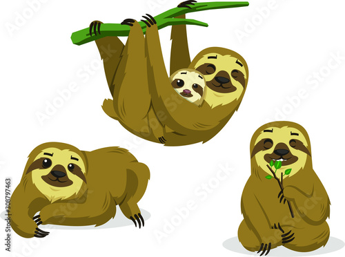 sloth