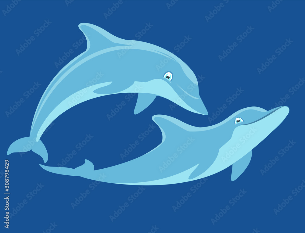 dolphins dolphins