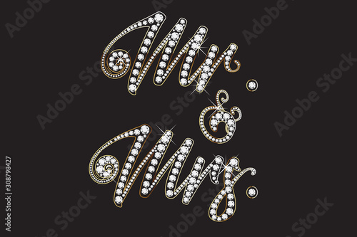 Mr. and Mrs. jewelry design lettering text vector image