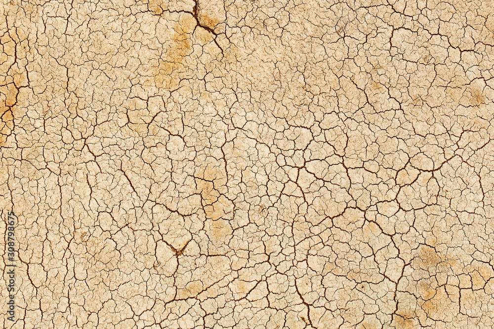 Fototapeta premium Cracks on the surface of the earth.