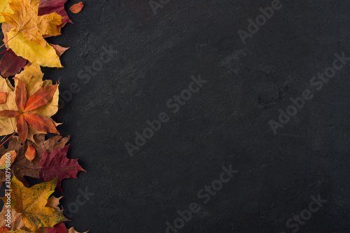 Autumn leaves background. Flat lay, top view, copy space