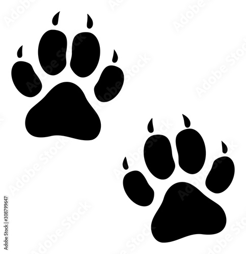 Tiger footprints vector icon. Flat Tiger footprints symbol is isolated on a white background.