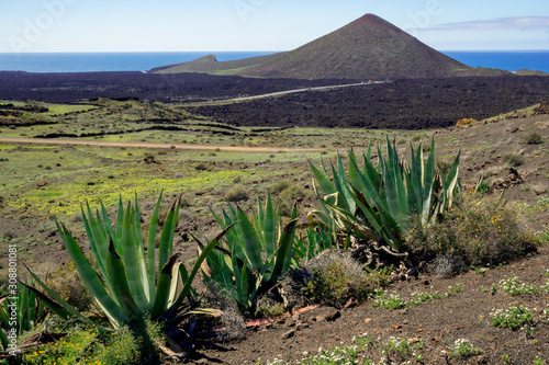 Volcanic landscape of Lanzarote