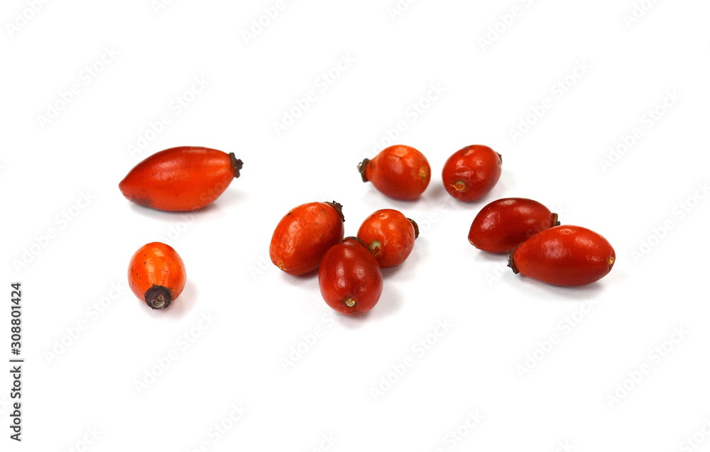 Rose hips (Rosa canina),close-up isolated on white background Rose hips (Rosa canina),close-up isolated on white background
