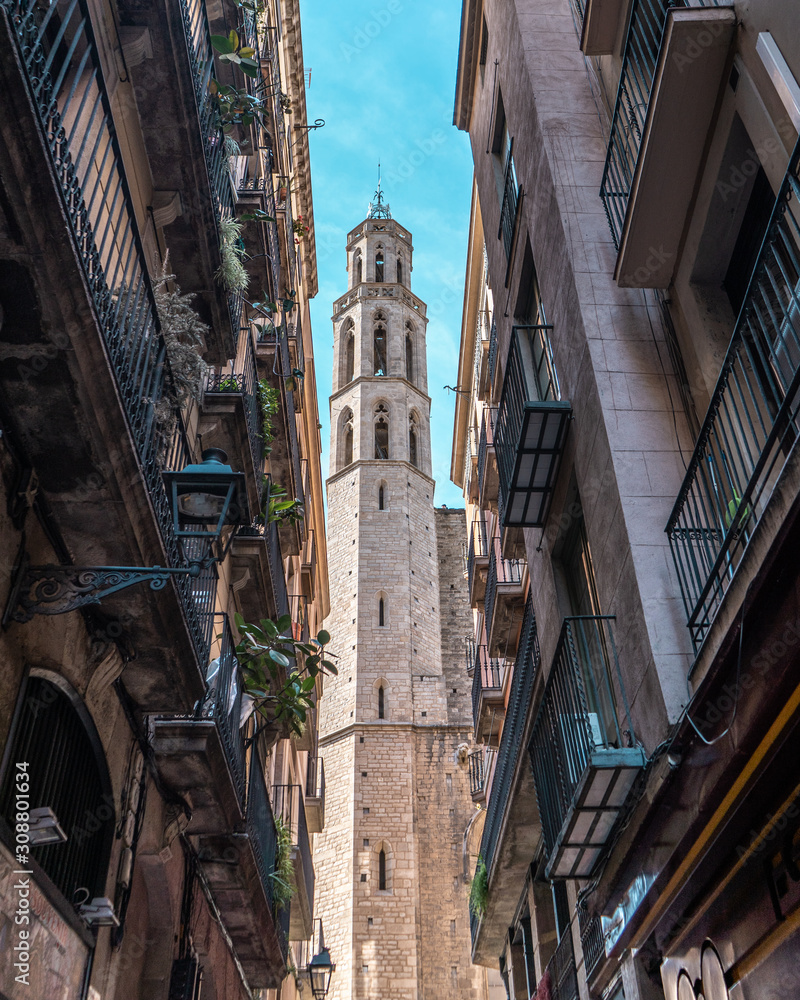 Barcelona Cathedral, Gothic Quarter, Barcelona