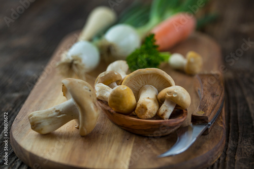 fresh Calocybe gambosa mushroom and knife over wooden cutting board photo