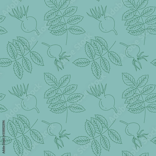 Dog rose leaves and fruit hand drawn seamless pattern. Green elements on light green background. Good for fabric, textile, wrapping paper, wallpaper, baby room, kitchen, packaging, paper, print, etc. 