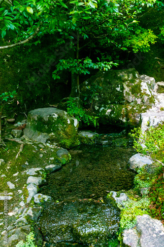 Fototapeta Naklejka Na Ścianę i Meble -  Ginkakuji spring water 