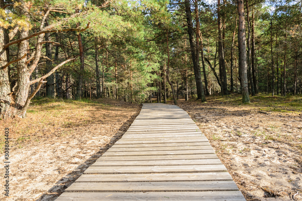 Fototapeta premium Drewniana ścieżka w lesie sosnowym.