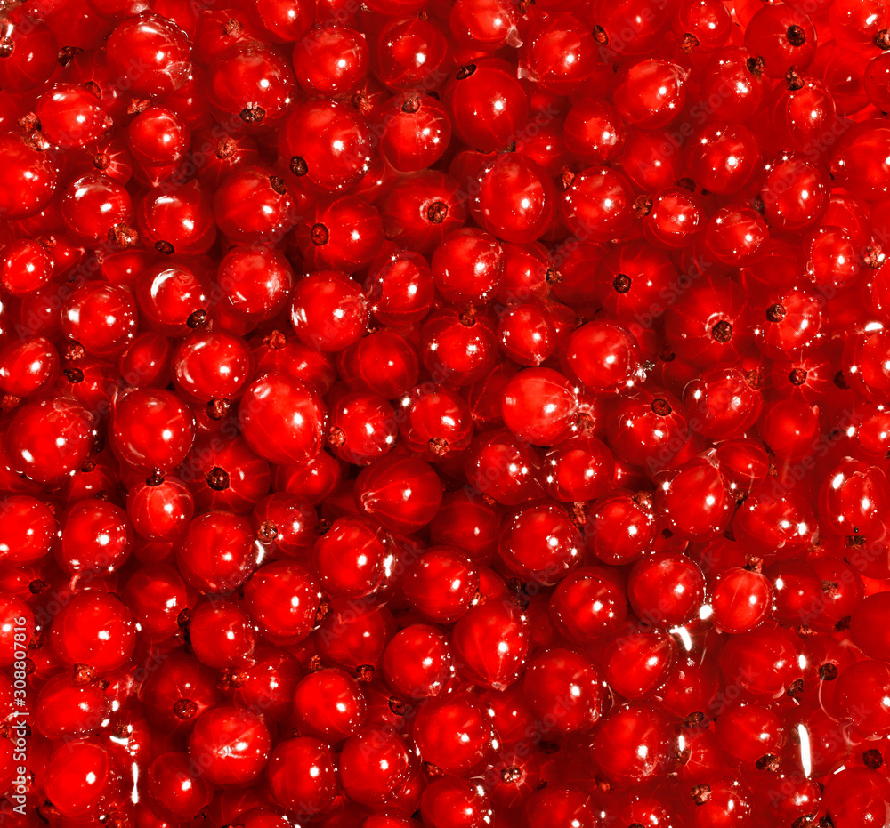 Red ripe currant berries background Red ripe currant berries background