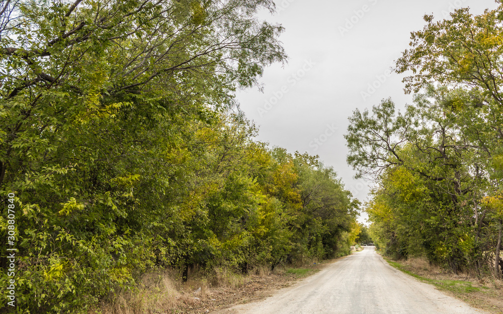 Fototapeta premium Blanket Tx road way countryside summer 